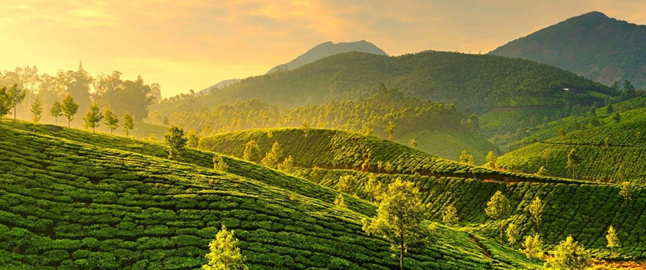 Exhilarating Coorg Honeymoon Package From Ahmedabad